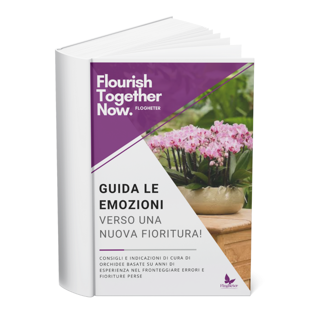 Ebook: Guida le emozioni verso una nuova fioritura GRATIS