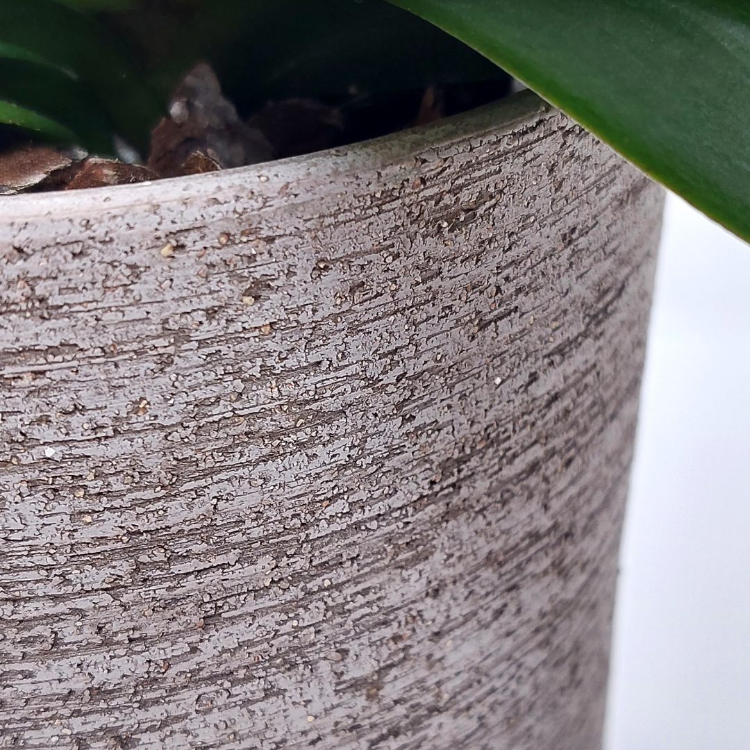 Vaso Ceramica "Etruria" Classico 21cm