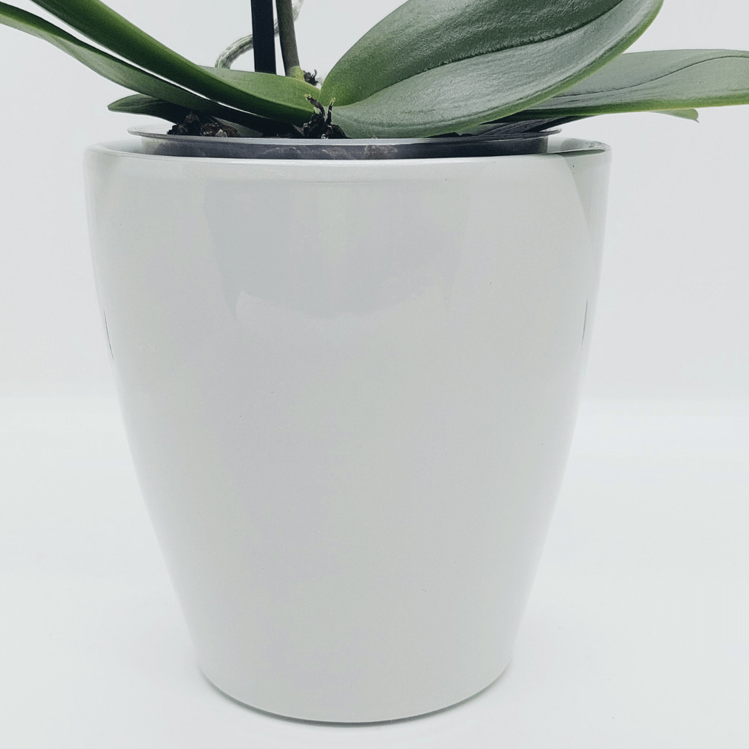 Vaso Ceramica "Milano" -