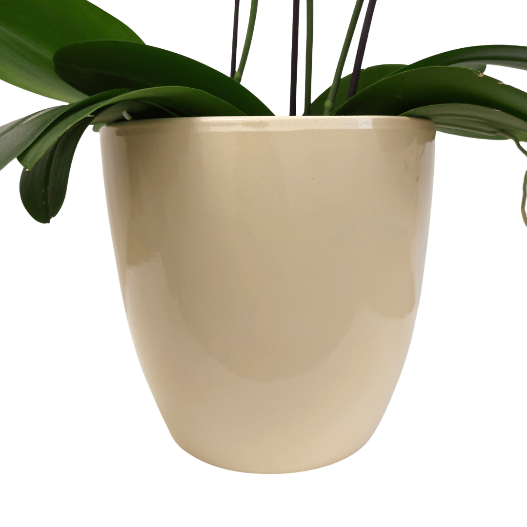 Vaso Ceramica "Milano" -