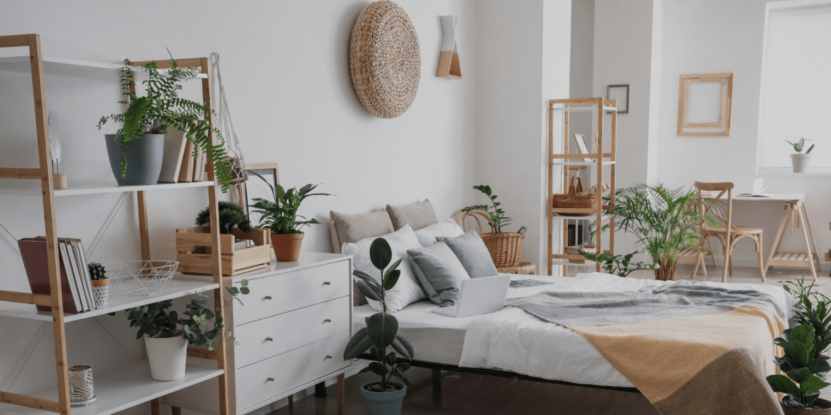 Le piante migliori per la camera da letto! - Flogheter