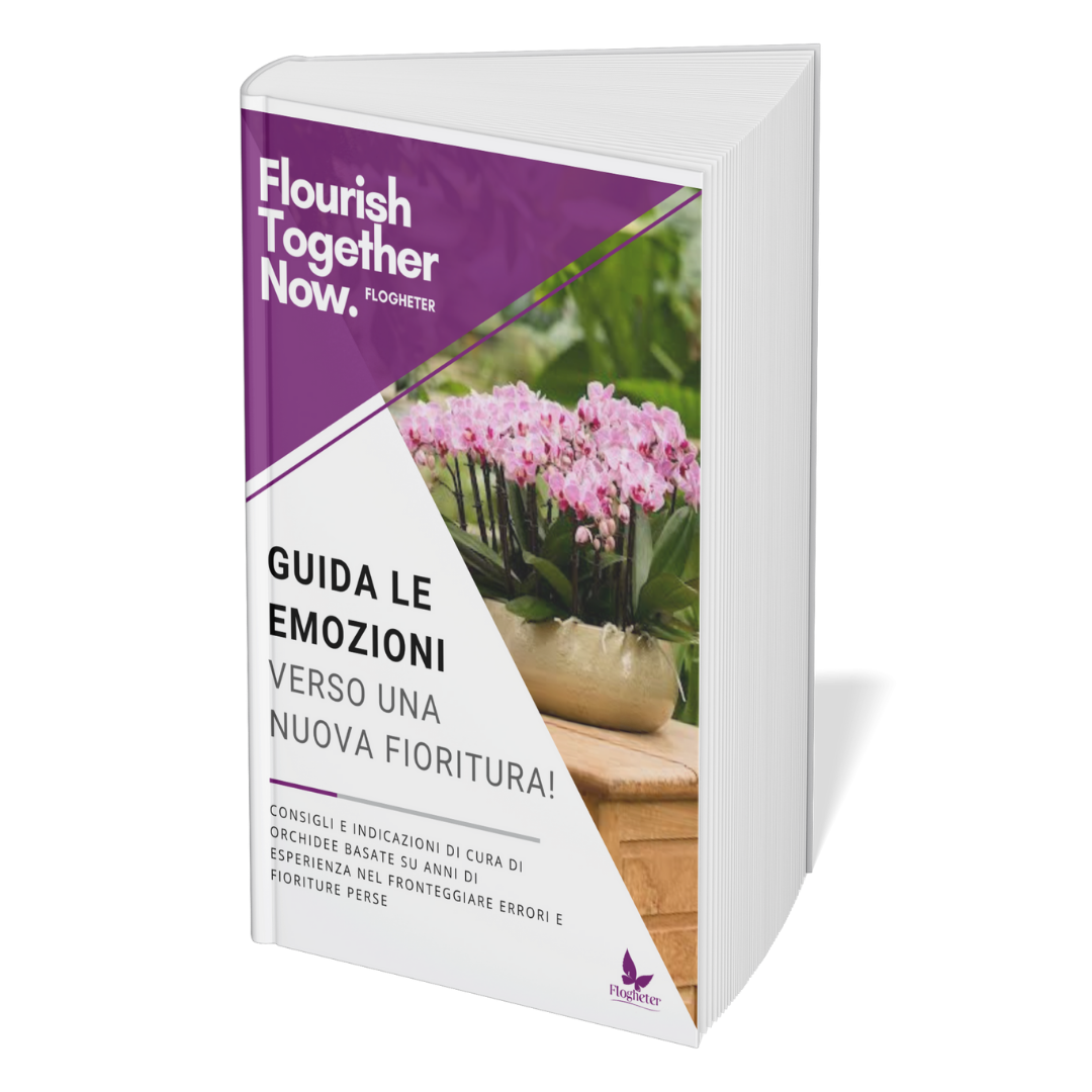 Ebook: Guida le emozioni verso una nuova fioritura GRATIS