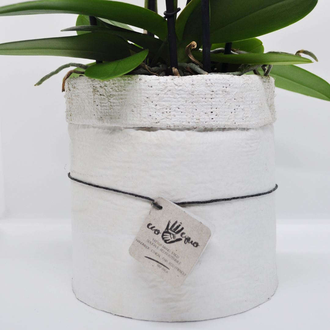 Vaso Collezione "Puglia" 14cm