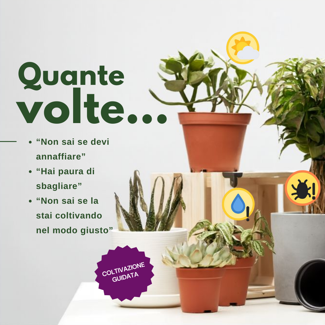 Diario del Coltivatore Perfetto - DIGITALE