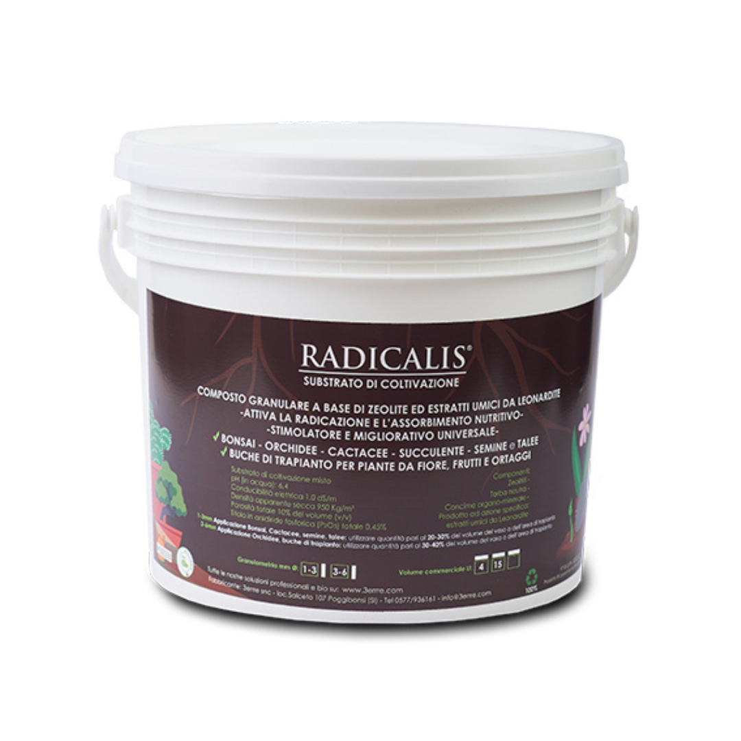 Radicalis 3-6 mm