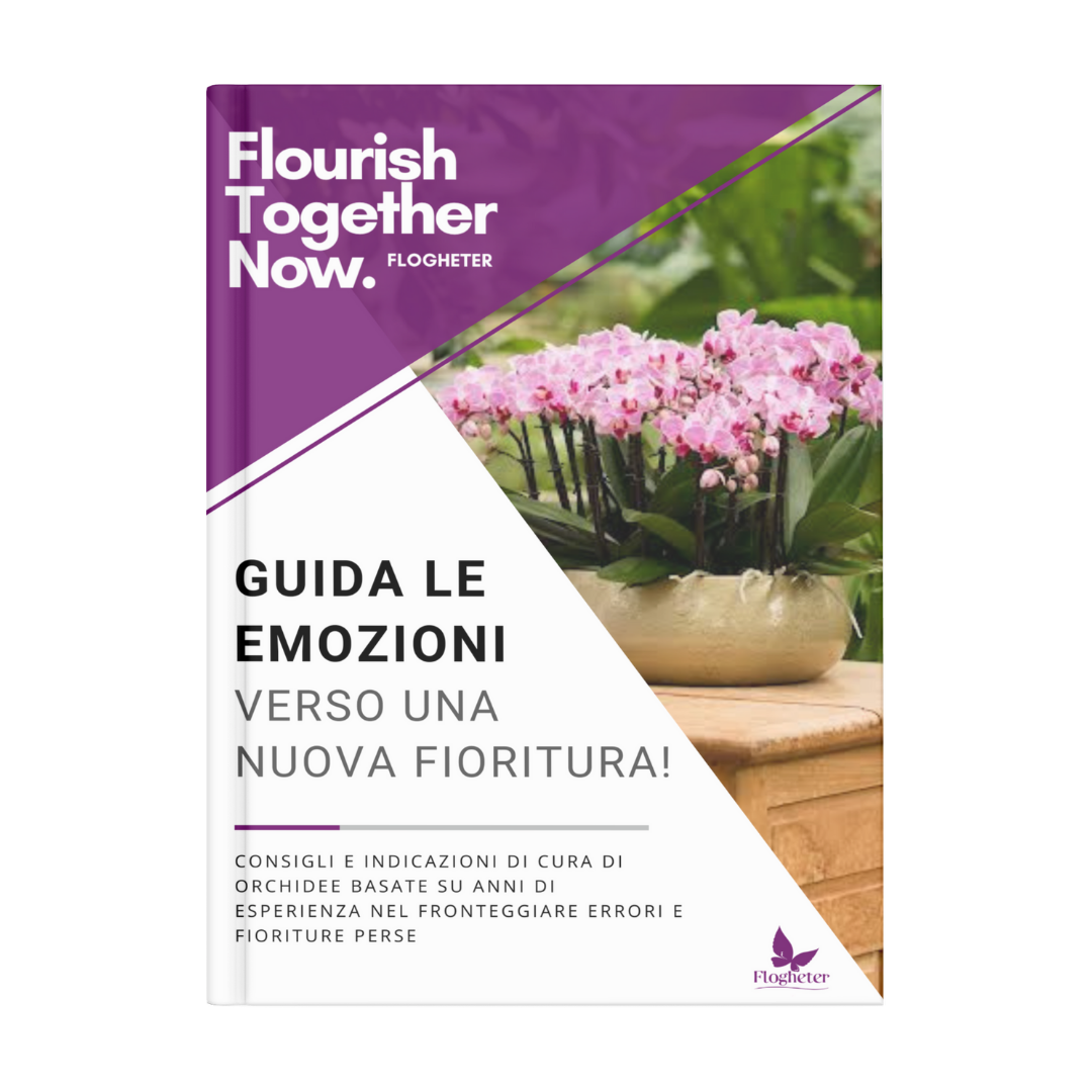 Ebook: Guida le emozioni verso una nuova fioritura