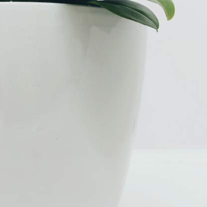 Vaso Ceramica "Milano" Ghiaccio 9cm