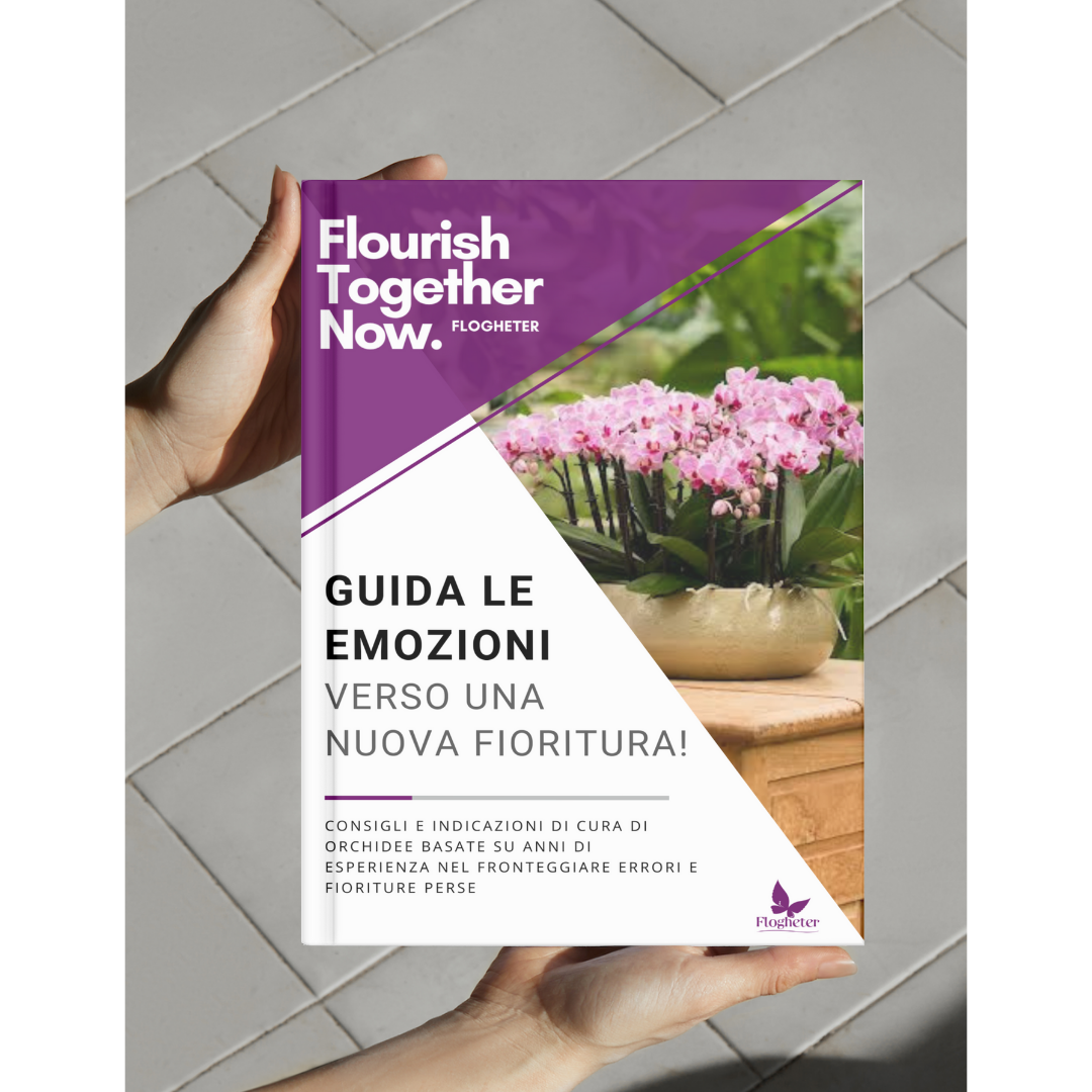 Ebook: Guida le emozioni verso una nuova fioritura