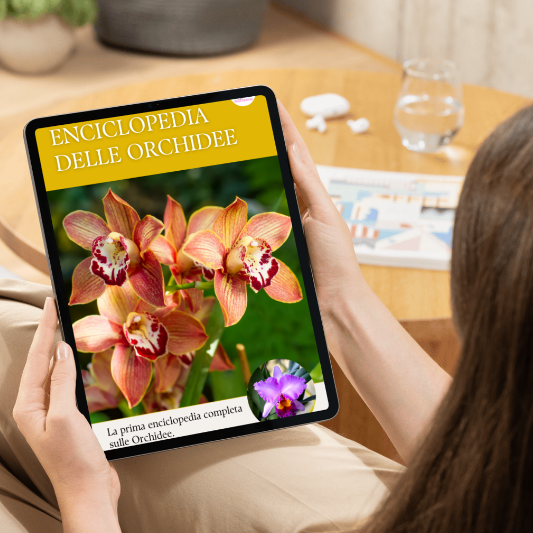 Enciclopedia delle Orchidee GRATIS
