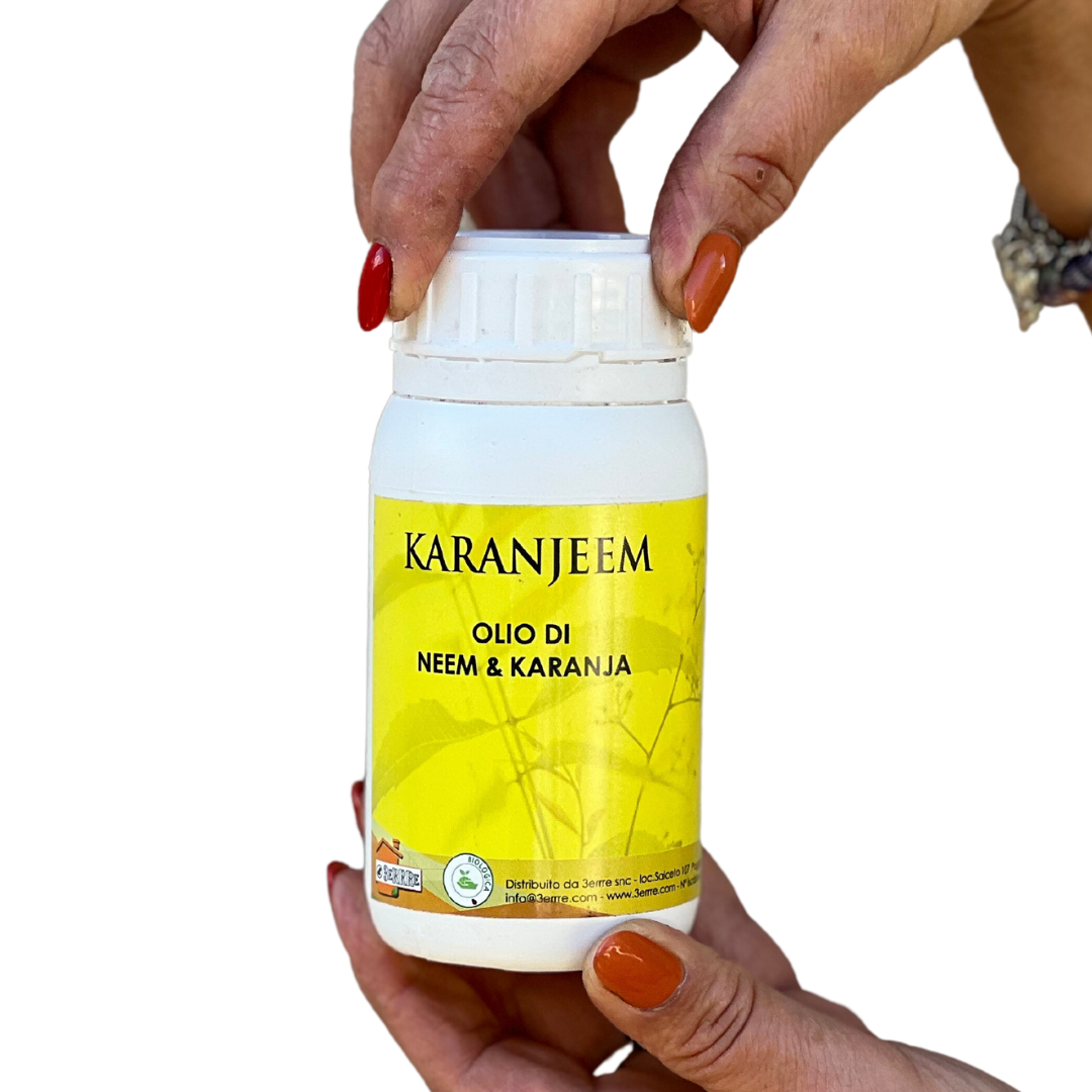 Karanjeem