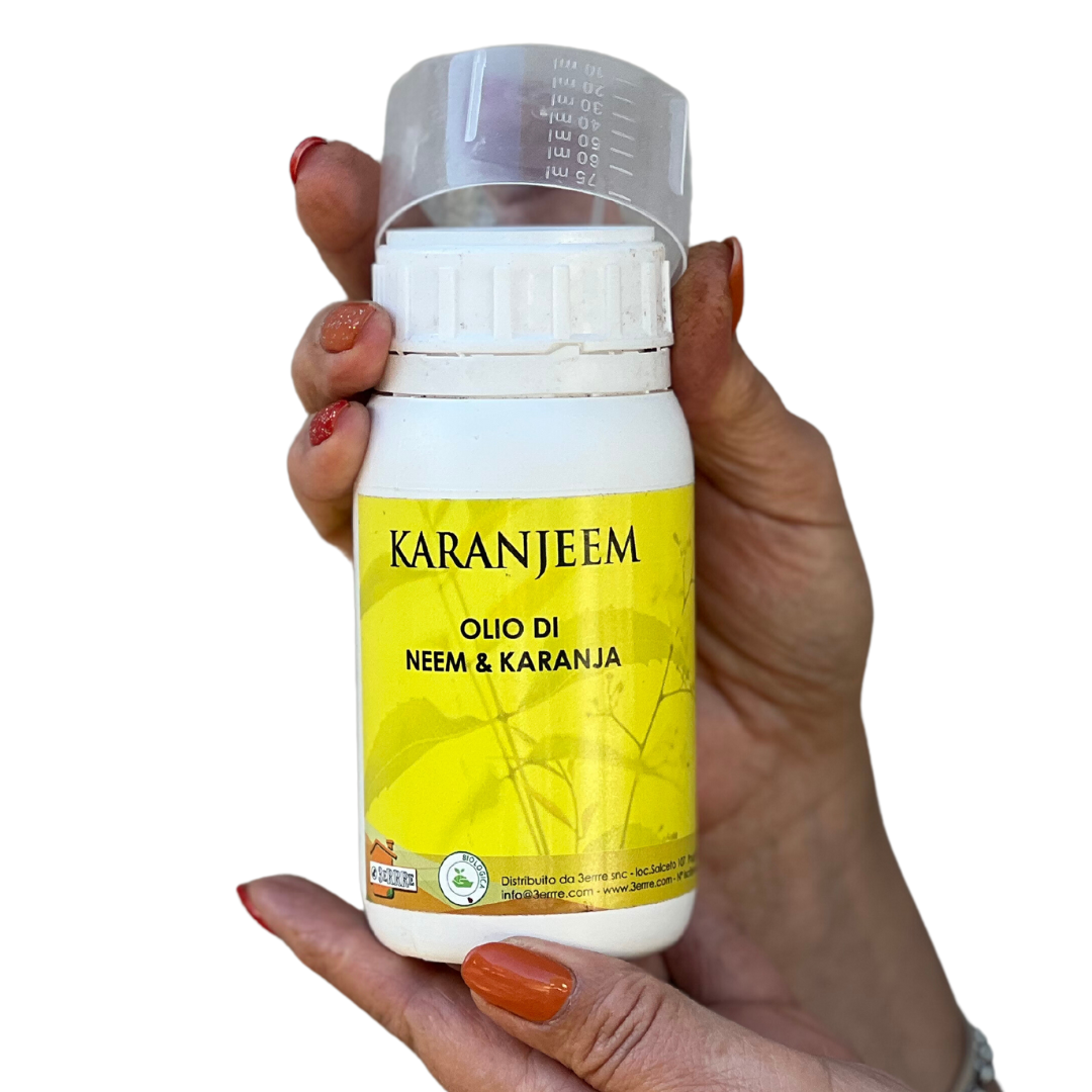 Karanjeem