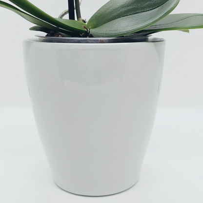 Vaso Ceramica "Milano" Ghiaccio 9cm