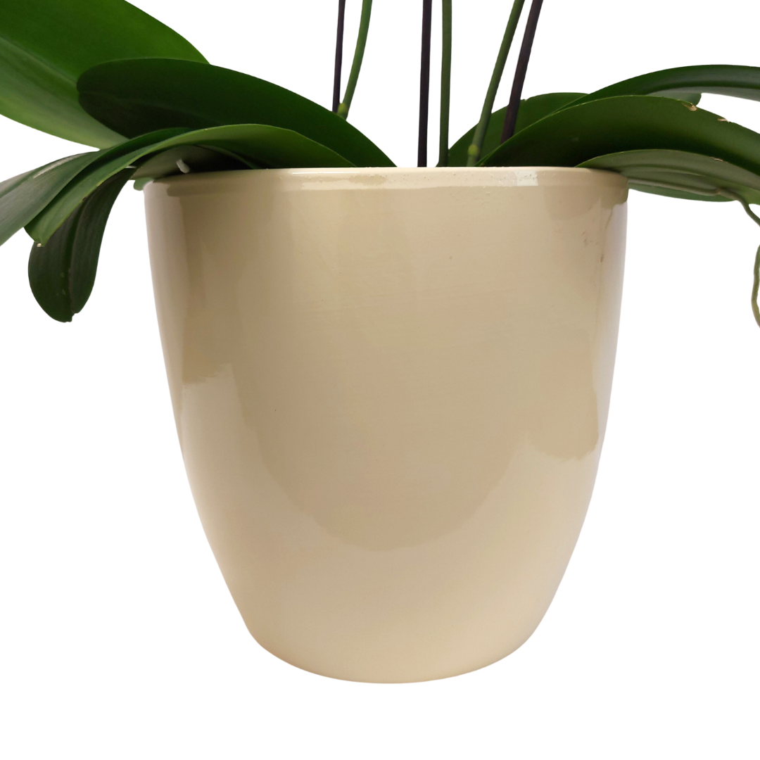 Vaso Ceramica "Milano" Sabbia 21cm