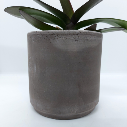 Vaso Ceramica "Etruria" Terra 12cm