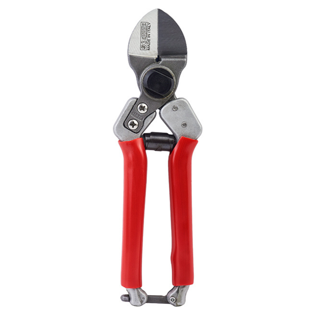 Cesoia Doppia Lama 21cm