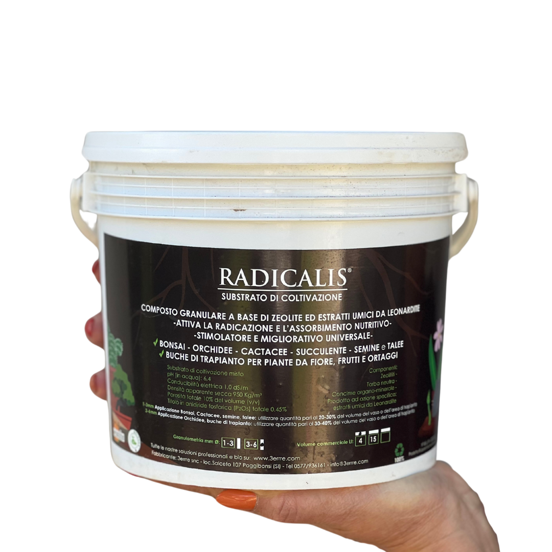 Radicalis 3-6 mm