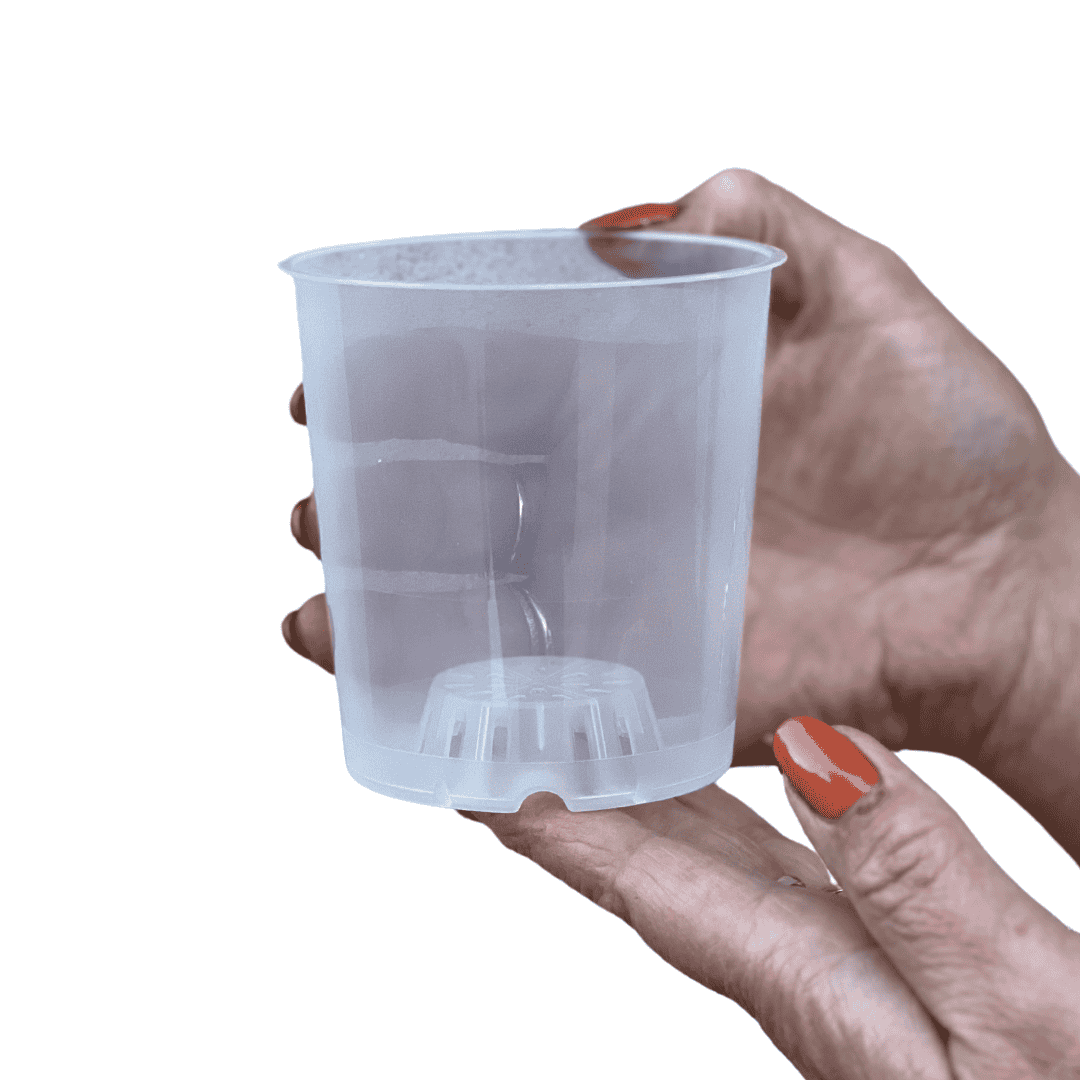 Kit Accessori - 