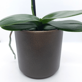 Vaso Ceramica "Capri" - 