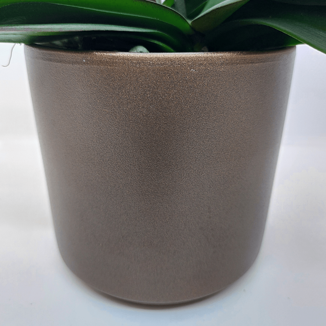 Vaso Ceramica "Capri" - 