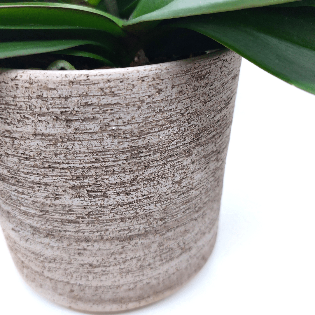 Vaso Ceramica "Etruria" - 