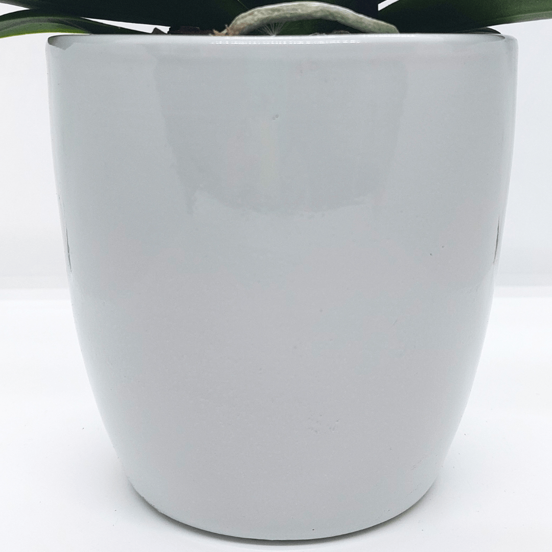 Vaso Ceramica "Milano" - 