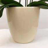 Vaso Ceramica "Milano" - 
