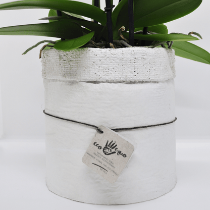 Vaso Collezione "Puglia" - 