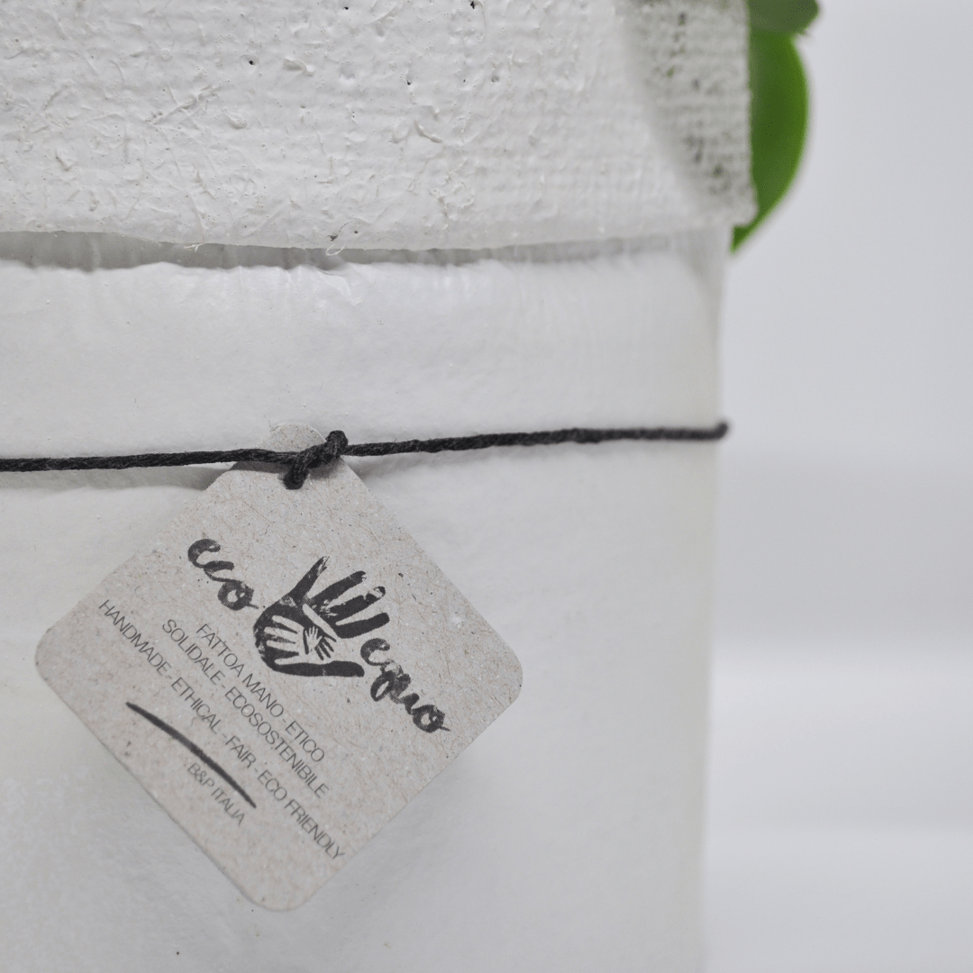 Vaso Collezione "Puglia" - 