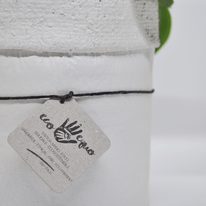 Vaso Collezione "Puglia" - 