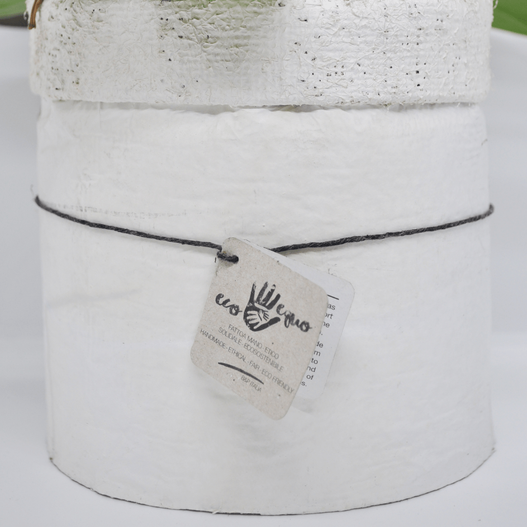 Vaso Collezione "Puglia" - 