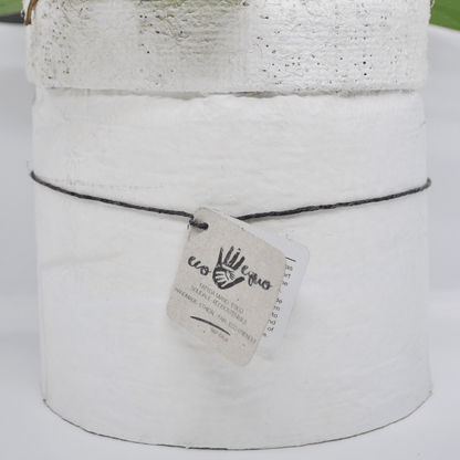Vaso Collezione "Puglia" - 