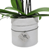 Vaso Collezione "Puglia" - 